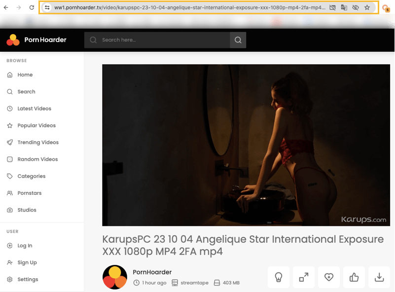 copy video link from PornHoarder